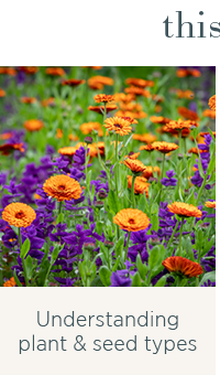 Understanding plant & seed types 
