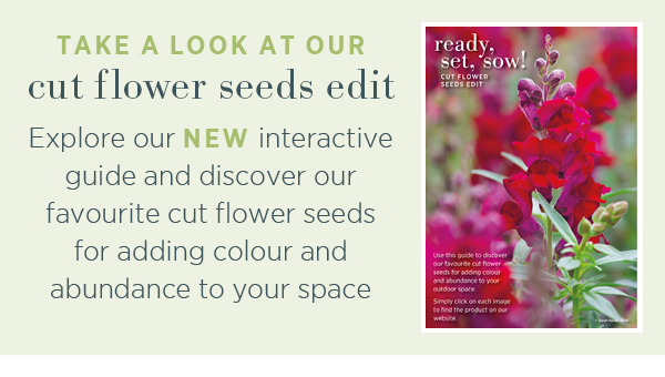 Take a look at our cut flower seeds edit!