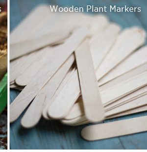 Wooden plant markers. 