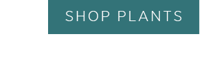 Shop Plants >