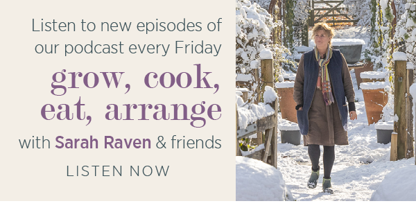 Listen to new episodes of our podcast every Friday. Grow, cook, eat, arrange with Sarah Raven & friends. Listen Now >