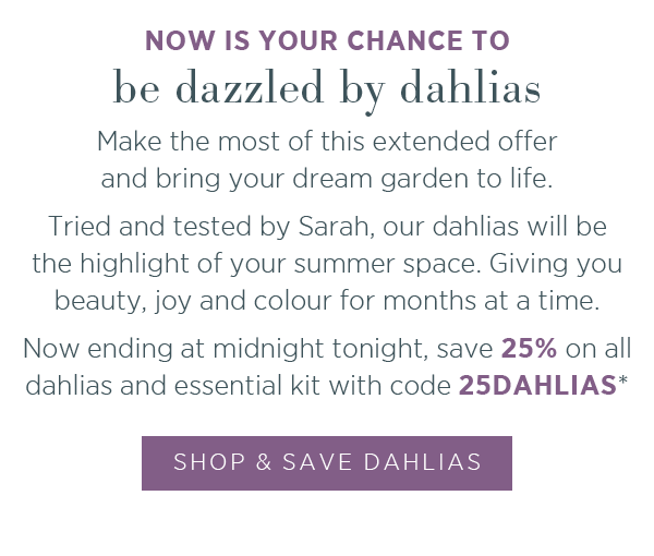 Now is your chance to be dazzled by dahlias. Make the most of this extended offer and bring your dream garden to life. Tried and tested by Sarah, our dahlias will be the highlight of your summer space. Giving you beauty, joy and colour for months at a time. Now ending at midnight tonight, save 25% on all dahlias and essential kit with code 25DAHLIAS*. Shop & Save on dahlias >