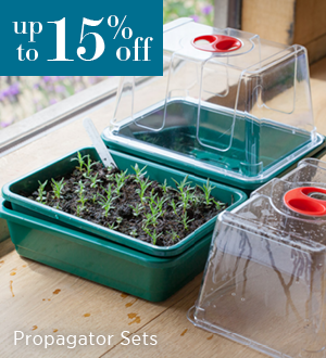Propagator Sets. 