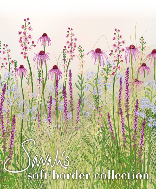 Sarah's soft border collection. 