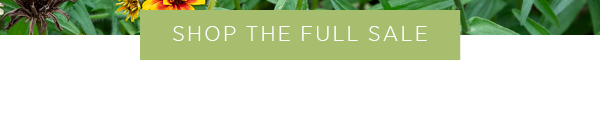 Discover More >