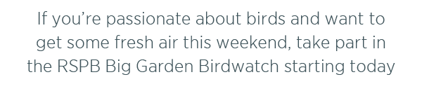 If you're passionate about birds and want to get some fresh air this weekend, take part in the RSPB Big Garden Birdwatch starting today. 