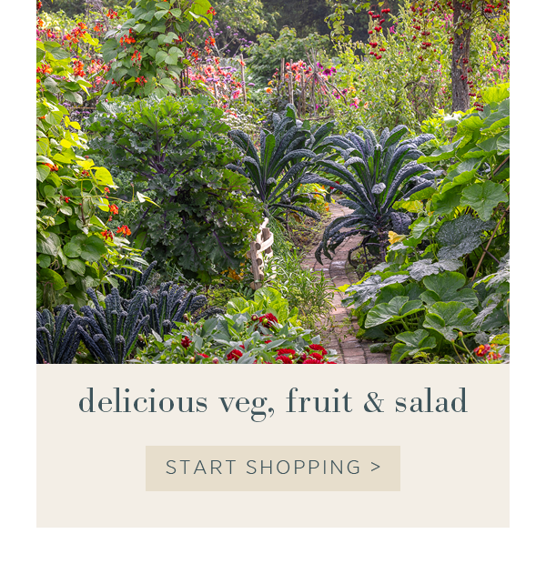 Delicious veg, fruit and salad. Start shopping >