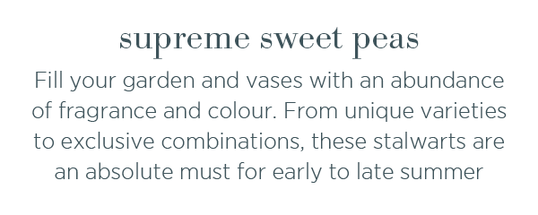 Supreme sweet peas. Fill your garden and vases with an abundance of fragrance and colour. From unique varieties to exclusive combinations, these stalwarts are an absolute must for early to late summer. 