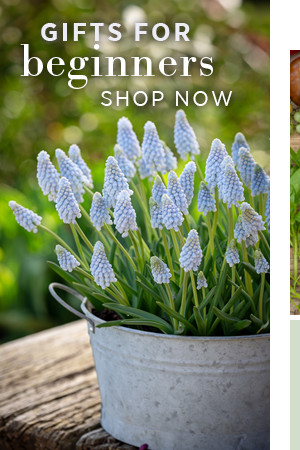 Gifts for beginners. Shop Now >