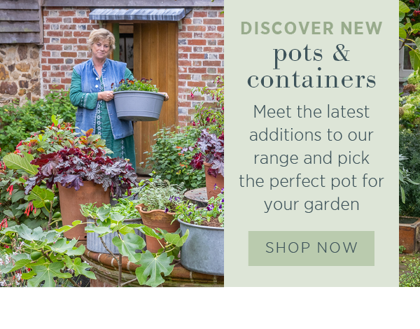 Discover new pots & containers. Meet the latest additions to our range and pick the perfect pot for your garden. Shop Now > 