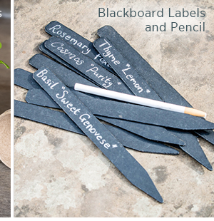 Blackboard labels and pencil. 
