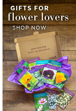 Gifts for flower lovers. Shop Now >