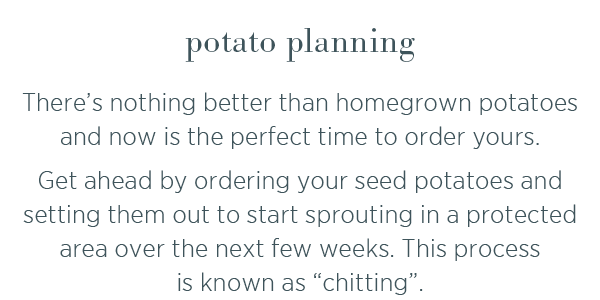 Potato planning! There's nothing better than homegrown potatoes and now is the perfect time to order yours. Get ahead by ordering your seed potatoes and setting them out to start sprouting in a protected area over the next few weeks. This process is know as "chitting". 