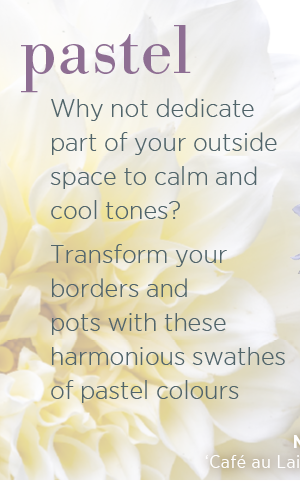 Pastel. Why not dedicate part of your outside space to calm and cool tones? Transform your borders and pots with these harmonious swathes of pastel colours. 