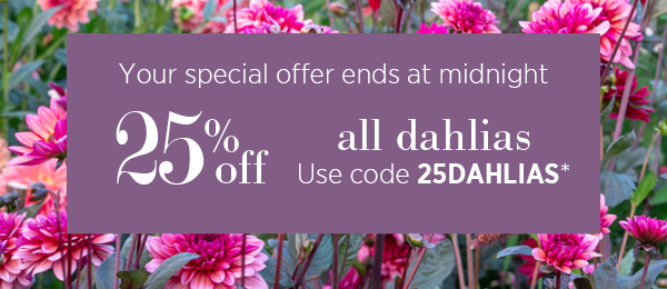 Your special offer ends at midnight. 25% off all dahlias use code 25DAHLIAS*. 