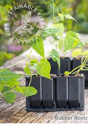 Sustainable kit. Rubber Rootrainer. 