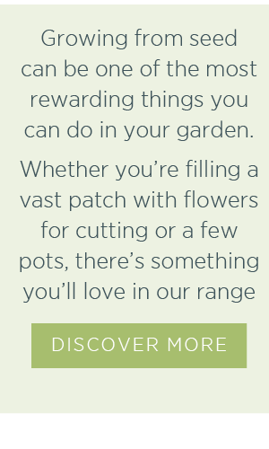 Growing from seed can be one of the most rewarding things you can do in your garden. Whether you're filling a vast patch with flowers for cutting or a few pots, there's something you'll love in our range. Discover More >