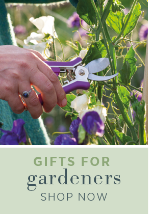 Gifts for gardeners. Shop Now >