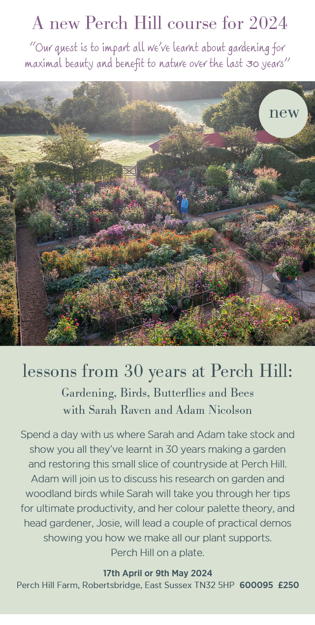 A new Perch Hill course for 2024. "Our quest is to impart all we've learnt about gardening for maximal beauty and benefit to nature over the last 30 years." New. Lessons from 30 years at Perch Hill: Gardening, Birds, Butterflies and Bees with Sarah Raven and Adam Nicolson. Spend a day with us where Sarah and Adam take stock and show you all they've learnt in 30 years making a garden and restoring this small slice of countryside at Perch Hill. Adam will join us to discuss his research on garden and woodland birds while Sarah will take you through her tips for ultimte productivity, and her colour palette theory, and head gardener, Josie, will lead a couple of practical demos showing you how we make all our plant supports. Perch Hill on a plate. 17th April or 9th May 2024. Perch Hill Farm, Robertsbridge, East Sussex, TN32 5HP. 600095. £250. 