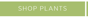 Shop plants >