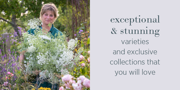 Exceptional and stunning varieties and exclusive collections that you will love.