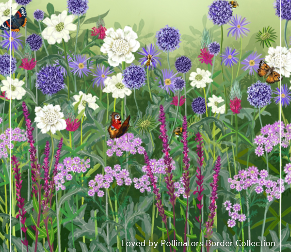 Loved by pollinators border collection 