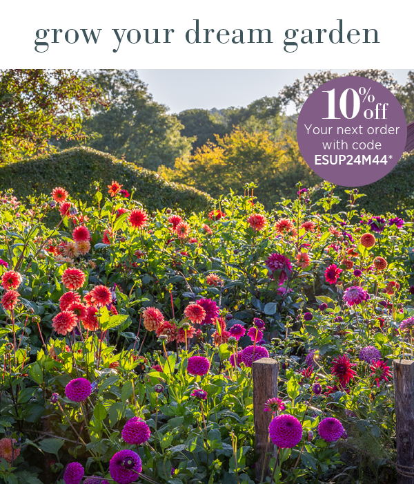 Grow your dream garden!