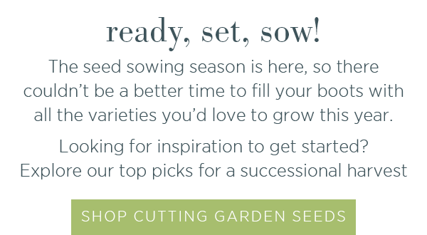 Ready, set, sow! The seed sowing season is here, so there couldn't be a better time to fill your boots with all the varieties you'd love to grow this year. Looking for inspiration to get started? Explore our top picks for a successional harvest. Shop cutting garden seeds >