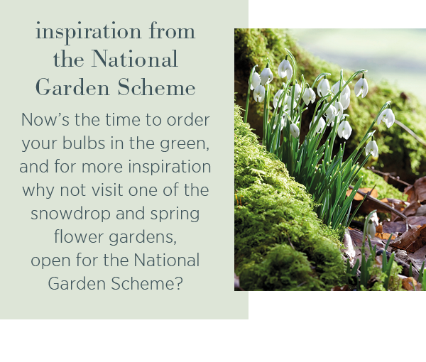 Inspiration from the National Garden Scheme. Now's the time to order your bulbs in the green, and for more inspiration why not visit one of the snowdrop and spring flower gardens, open for the National Garden Scheme?