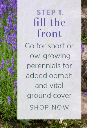 Step 1. Fill the front. Go for short or low-growing perennials for added oomph and vital ground cover. Shop Now > 