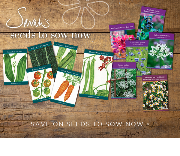 Sarah's seeds to sow now. Save on seeds to sow now > 