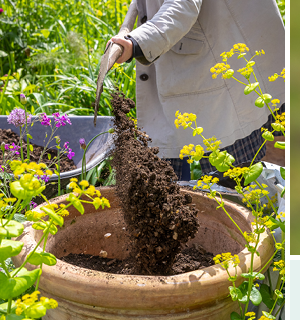 Sarah Raven Peat-free Compost
