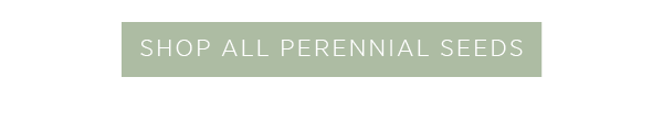 Shop all perennial seeds >