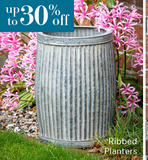 Ribbed Planters.
