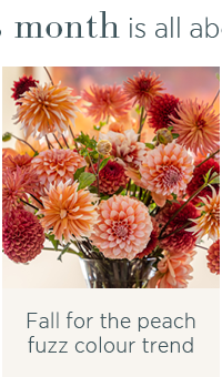 Fall for the peach fuzz colour trend 