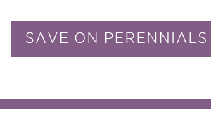 Save on perennials 