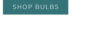 Shop Bulbs >