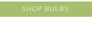 Shop bulbs >