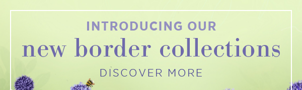 Introducing our new border collections. Discover More > 