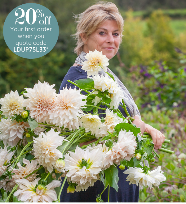 20% off your first order when you quote code LDUP75L33*