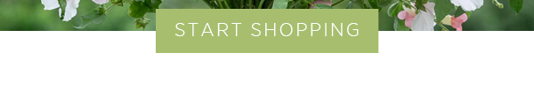 Start Shopping >