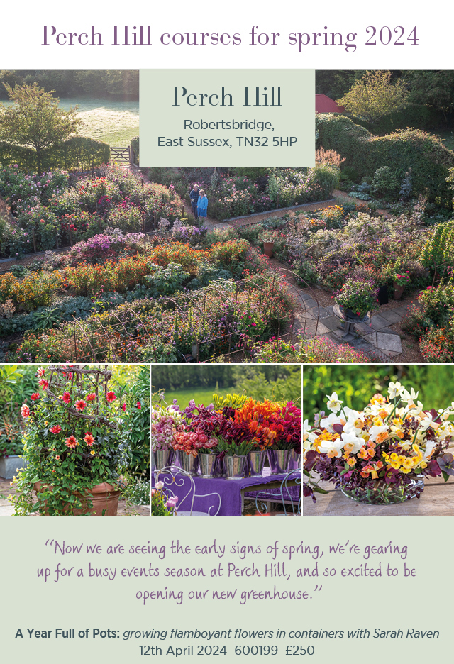 Perch Hill courses for spring 2024. Perch Hill. Robertsbridge, East Sussex, TN32 5HP. A year full of pots: growing flamboyant flowers in containers with Sarah Raven 12th April 2024. 600199. £250. 