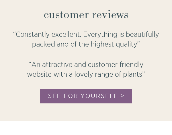 Customer reviews - "Constantly excellent. Everything is beautifully packed and of the highest quality", "An attractive and customer friendly website with a lovely range of plants." See for yourself >