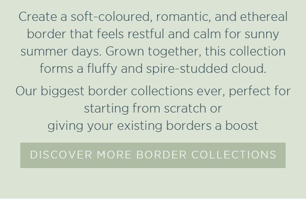 Create a soft-coloured, romantic, and ethereal border that feels restful and calm for sunny summer days. Grown together, this collection forms a fluffy and spire-studded cloud. Our biggest border collections ever, perfect for starting from scratch or giving your existing borders a boost. Discover more border collections >