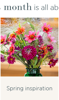 Spring inspiration 