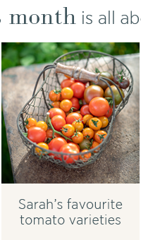 Sarah's favourite tomato varieties 