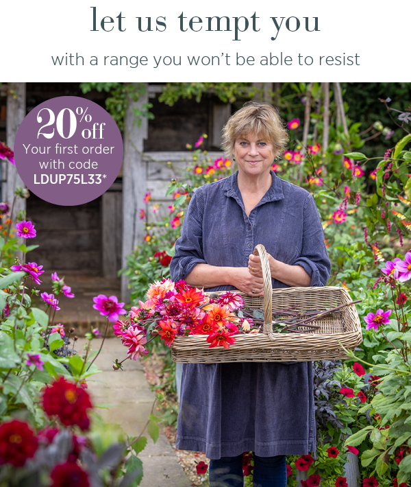 Let us tempt you with a range you won't be able to resist. 20% off your first order. Quote code LDUP75L33*. 