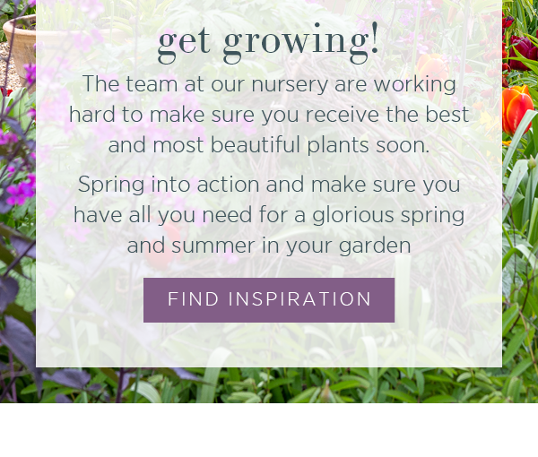 Get growing! The team at our nursery are working hard to make sure you receive the best and most beautiful plants soon. Spring into action and make sure you have all you need for a glorious spring and summer in your garden. Find Inspiration >