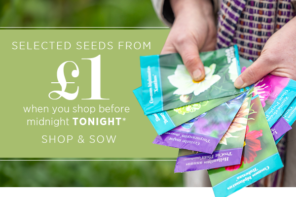 Selected seeds from £1 when you shop before midnight tonight*. Shop & Sow >