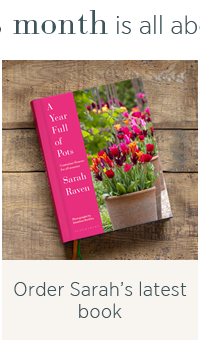 Order Sarah's latest book 